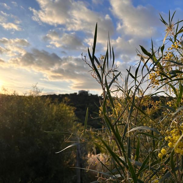 Balade autour de FONCIN avec Denis HUIN_Cavalaire-sur-Mer