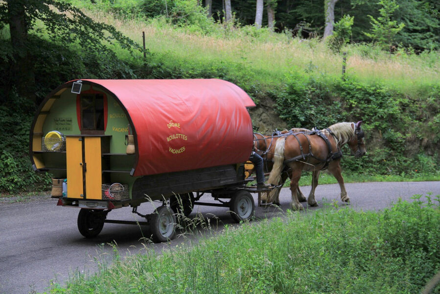 Roulotte & chevaux