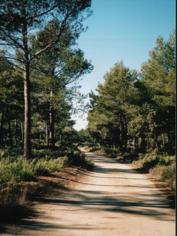 Jonction Vallon du Pin - Pélissanne