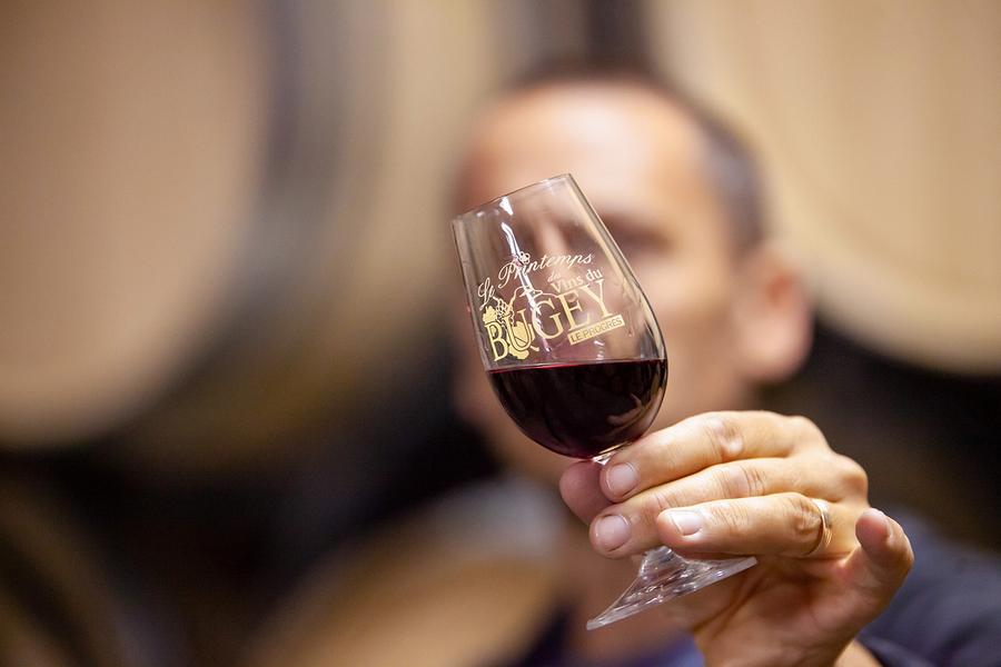 Excursion : Au fil de l'eau, au gré des vins_Vongnes