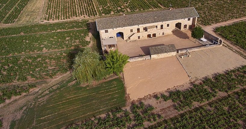 CHARVET Armand - L'étape Vigneronne