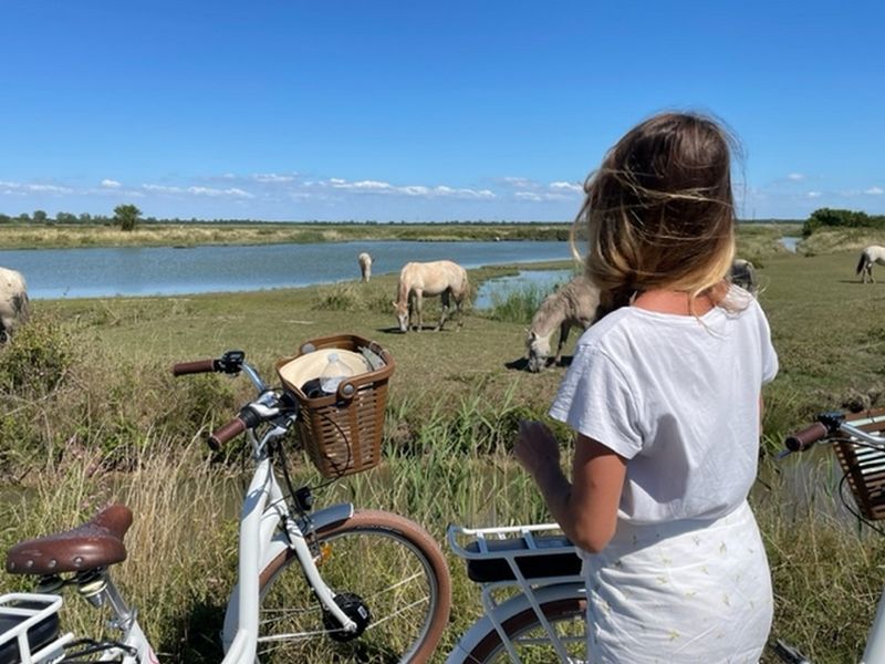 Les vélos de La Manade