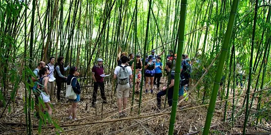 Balade de printemps Sentier métropolitain de GrandAngoulême "A la recherche des ruisseaux urbains"