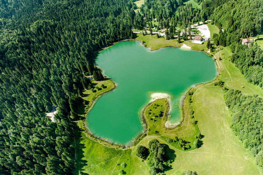 lac Genin