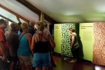 sech16-20103.jpg
