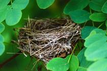 Projection du film « La mécanique du coucou »_Arcon