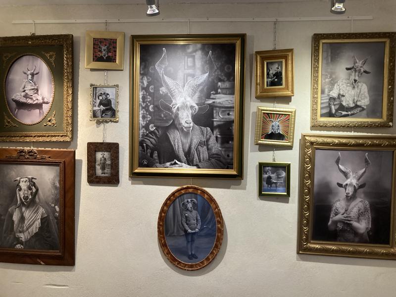 Vernissage exposition - Marc Defortescu
