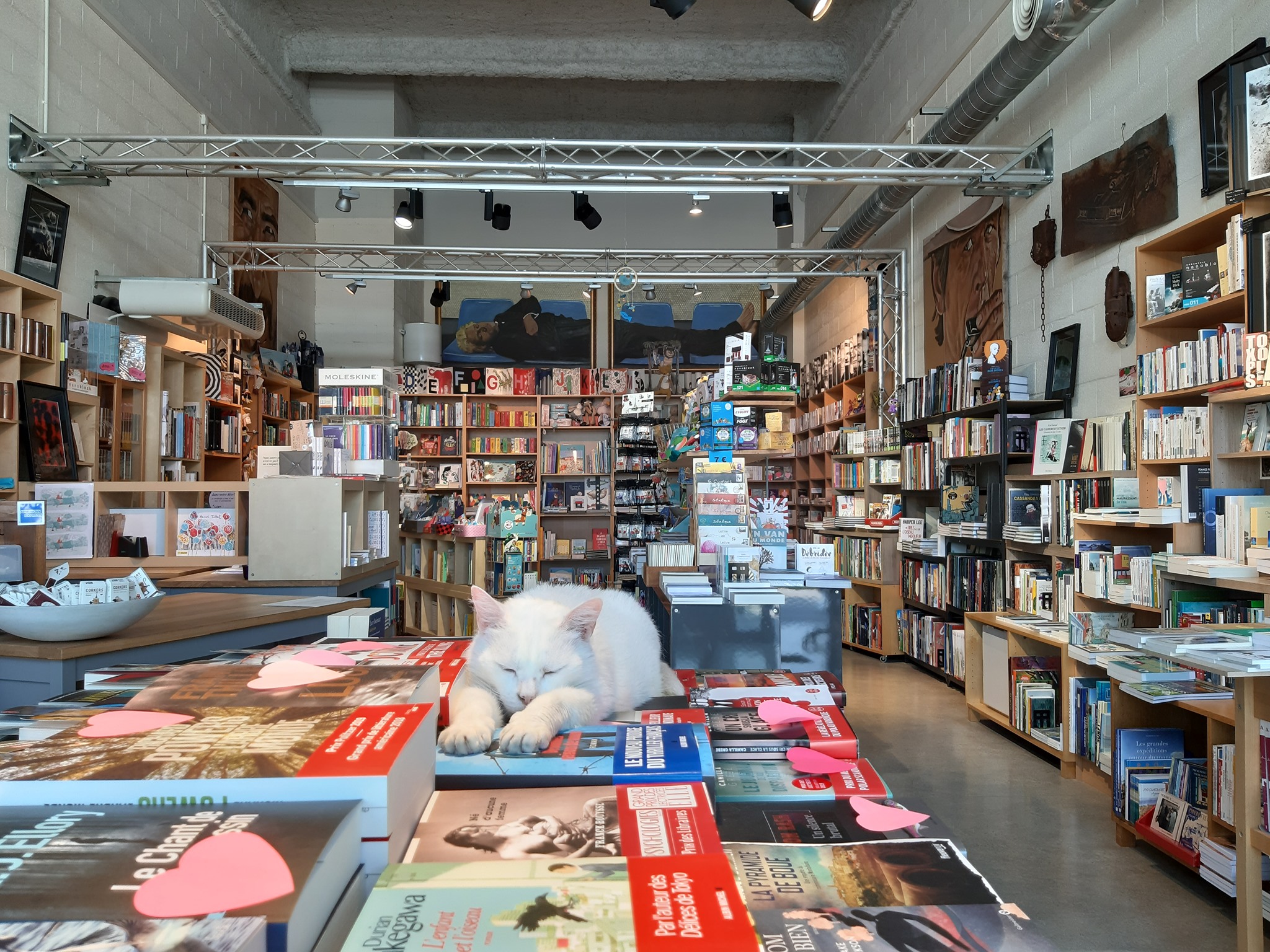 Au Poivre d'Âne - photo 2