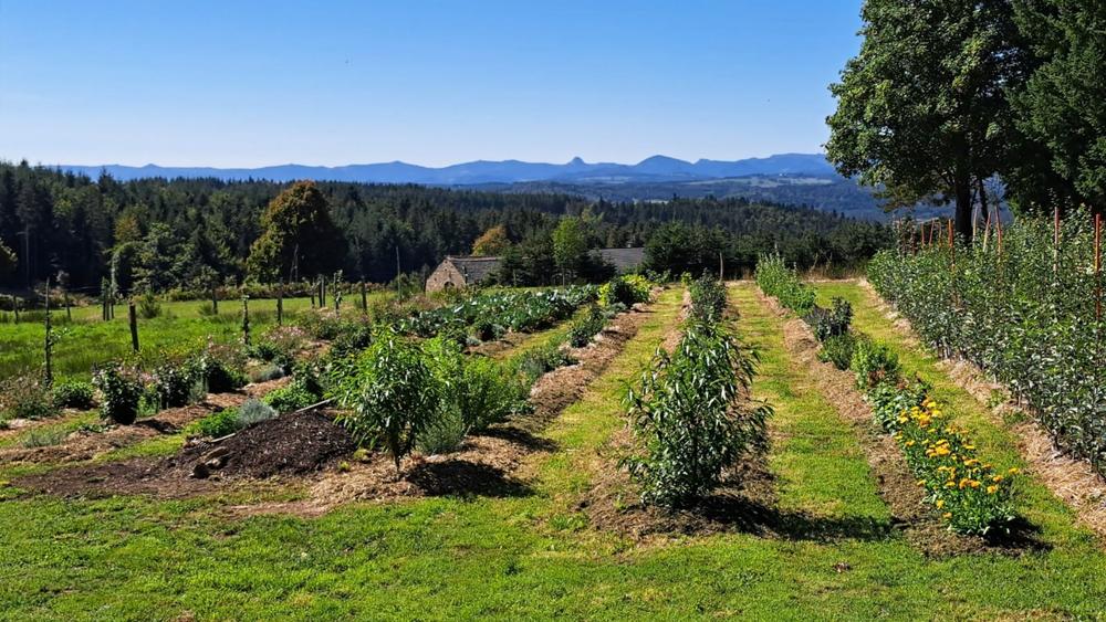Les Mardis Plantes & Santé - Les Échappées Estivales