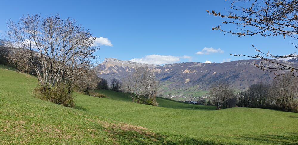 Prairies sous le mont Saint Michel