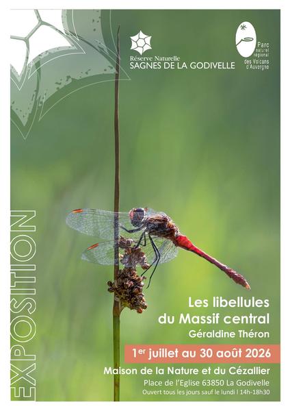 Exposition : Les libellules du Massif central