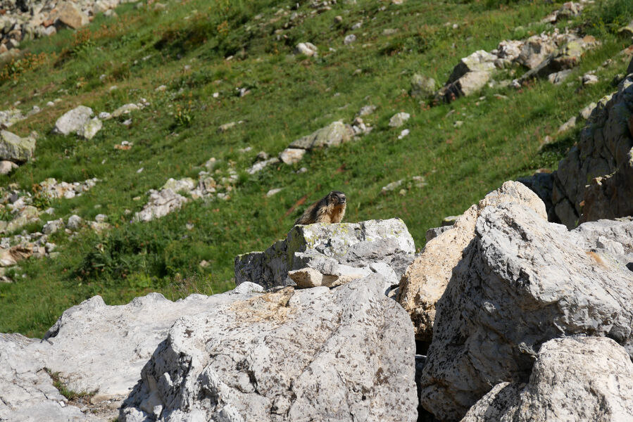 marmotte 3 lacs