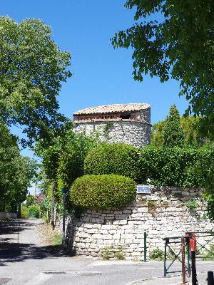 Sur les pas de la Transhumance