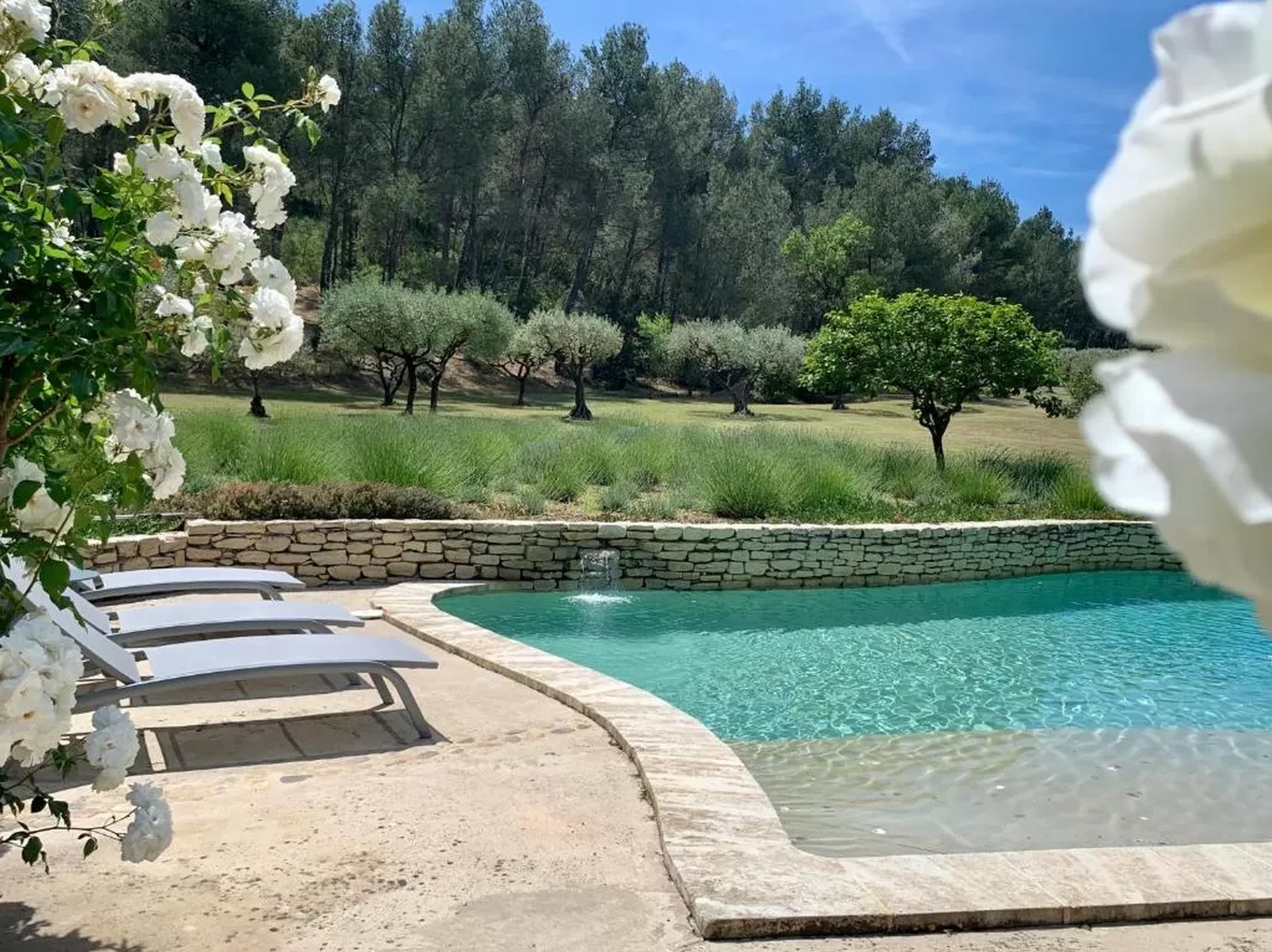 Le Mas Predon - photo 5