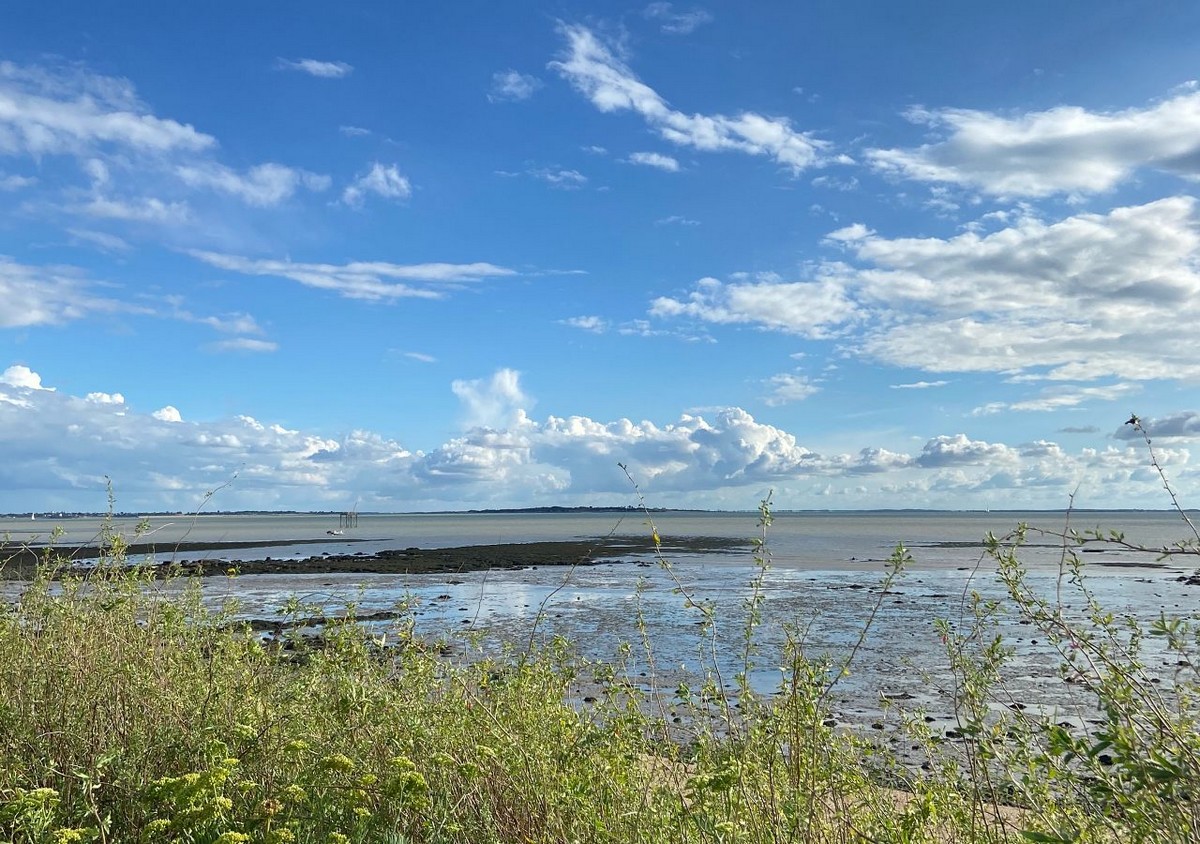Boyard croisière : Découverte de l'Estuaire à la voile