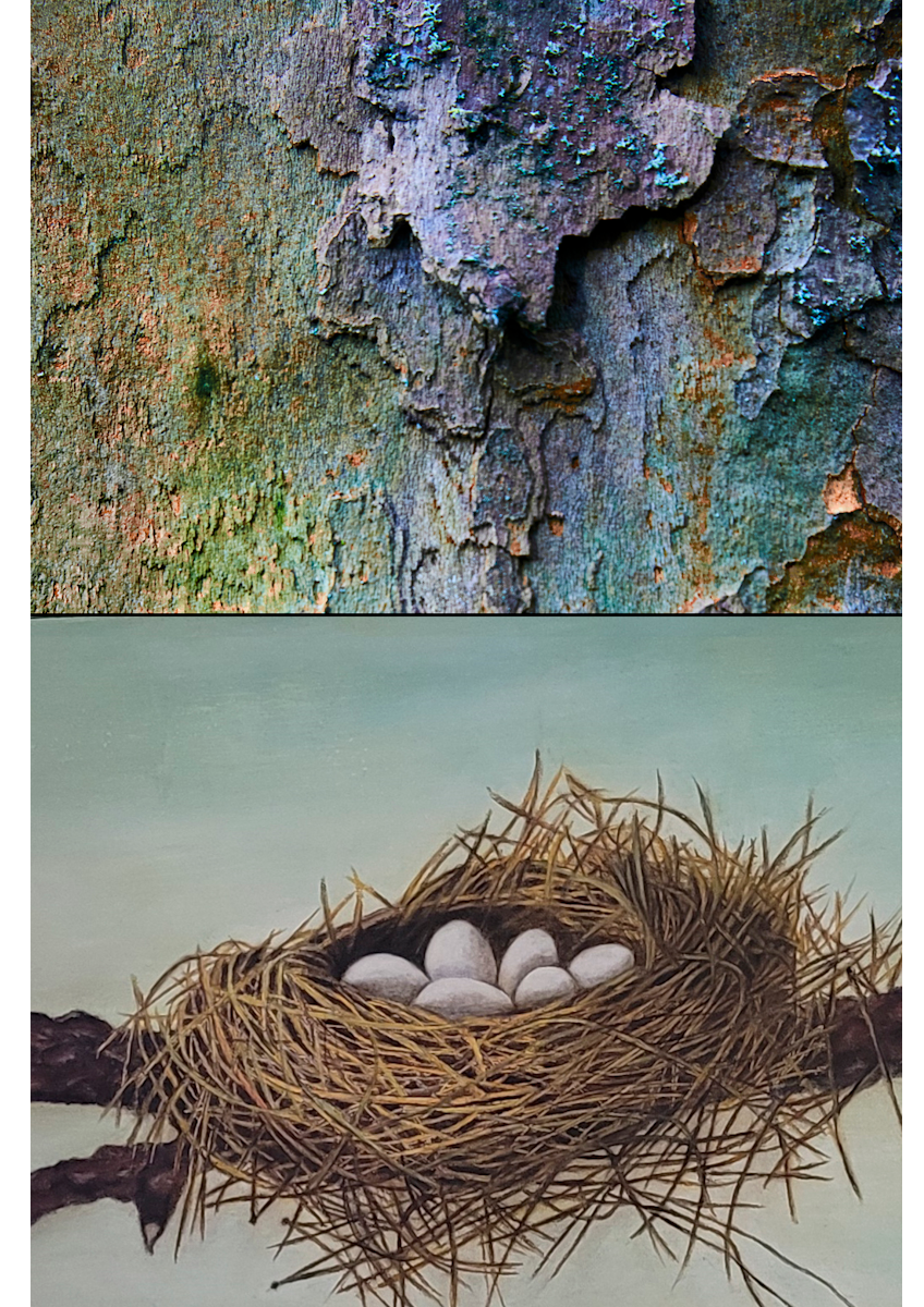 Exposition - Écorces et compagnie