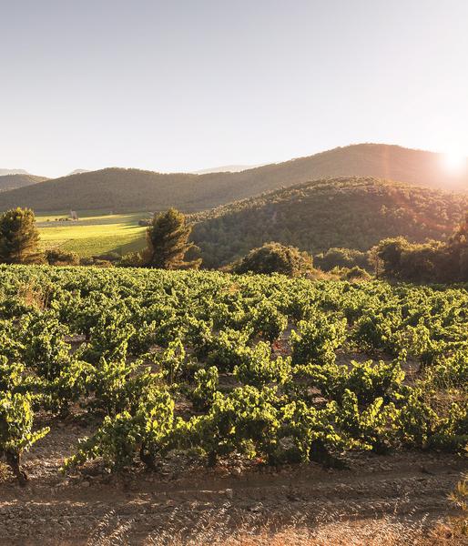 Château La Gordonne