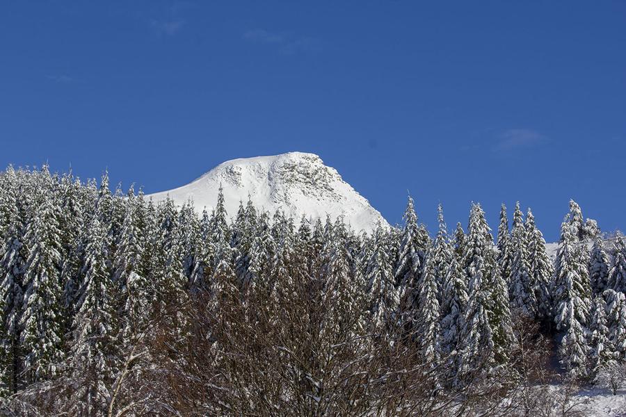 Randonnée La Sapinière_Mont-Dore