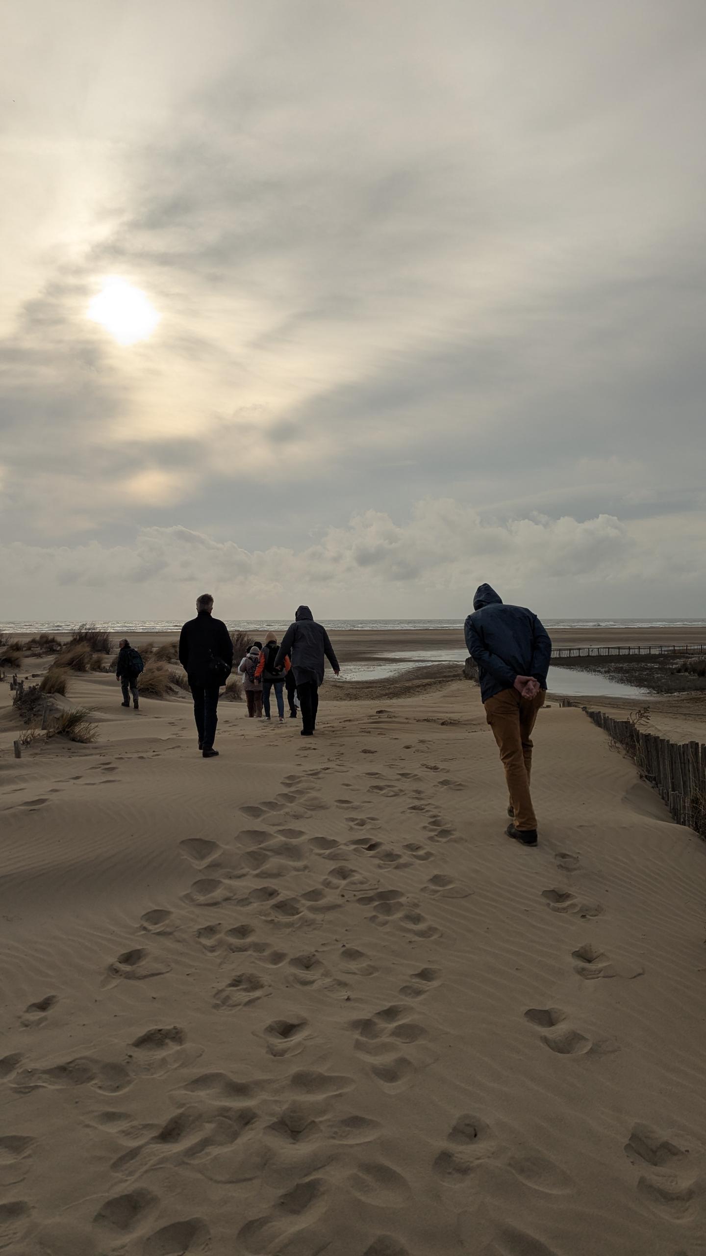 Pas à pas vers le phare de l'Espiguette