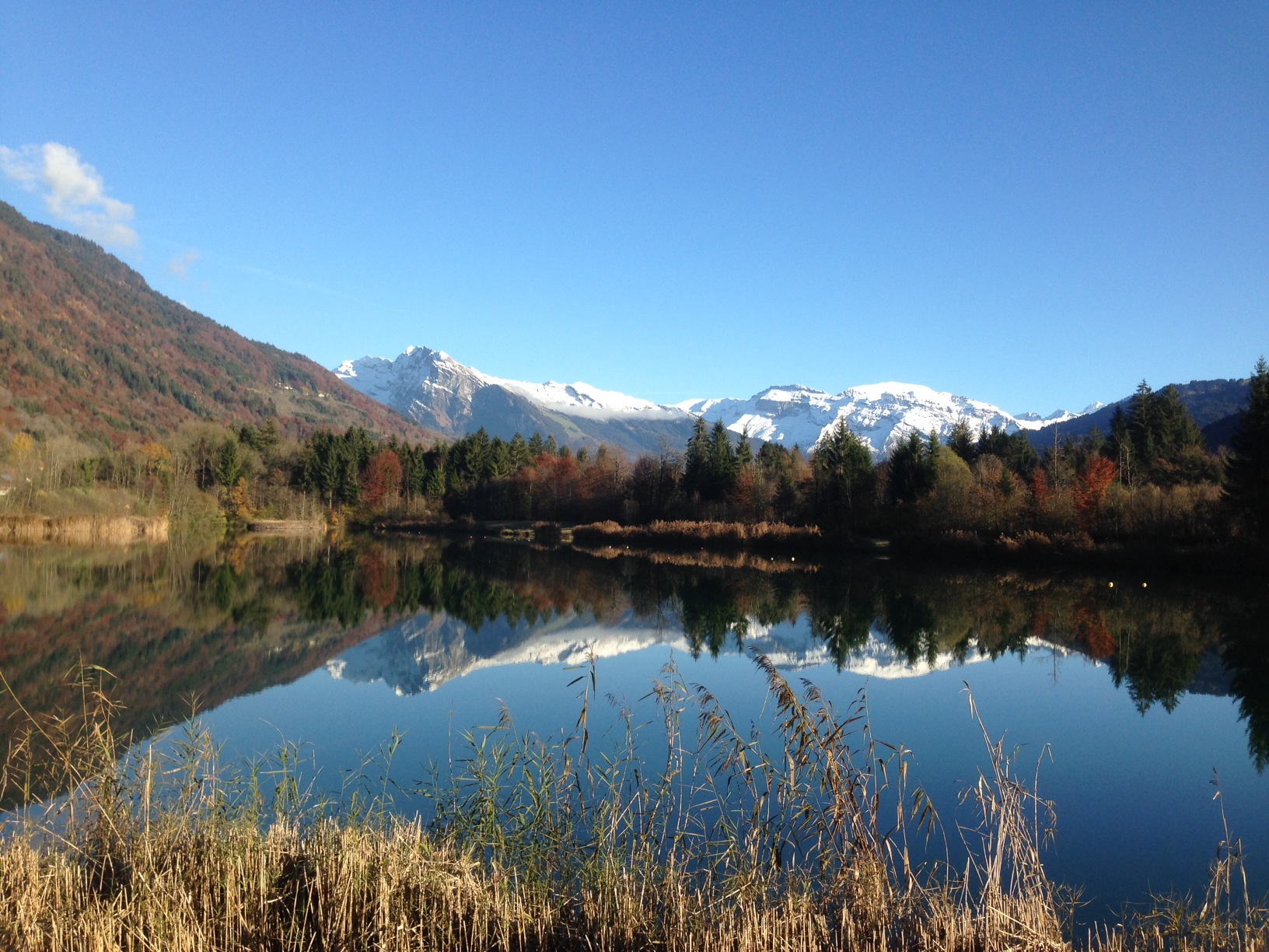 Lake view