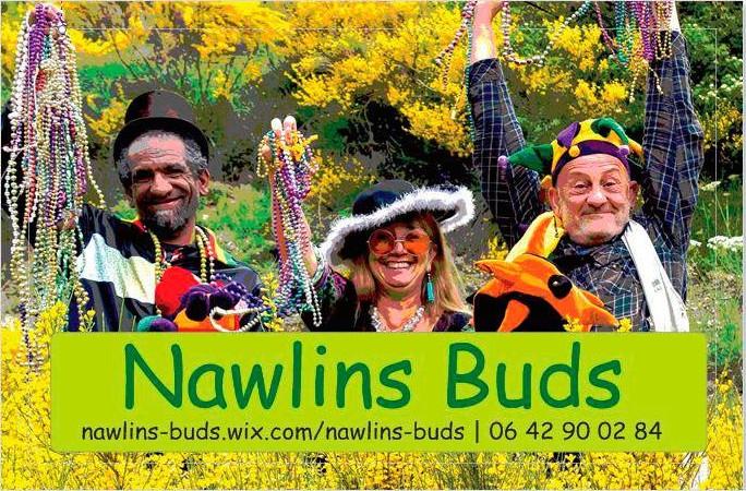 - © Nawlins Buds Concert au Hang'Art : Nawlins Buds_Serres - © Nawlins Buds