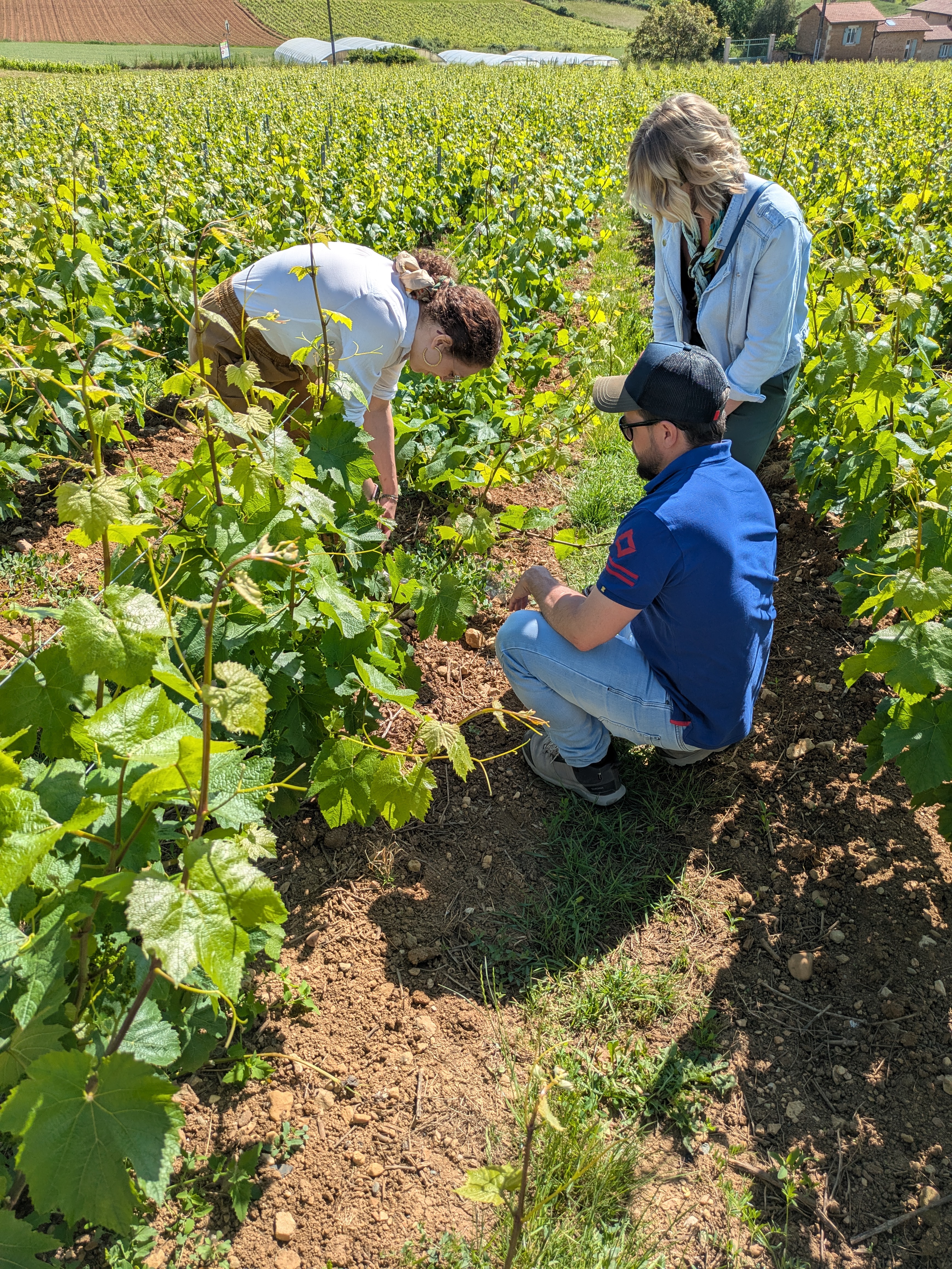 Les épicurieuses_Belleville-en-Beaujolais