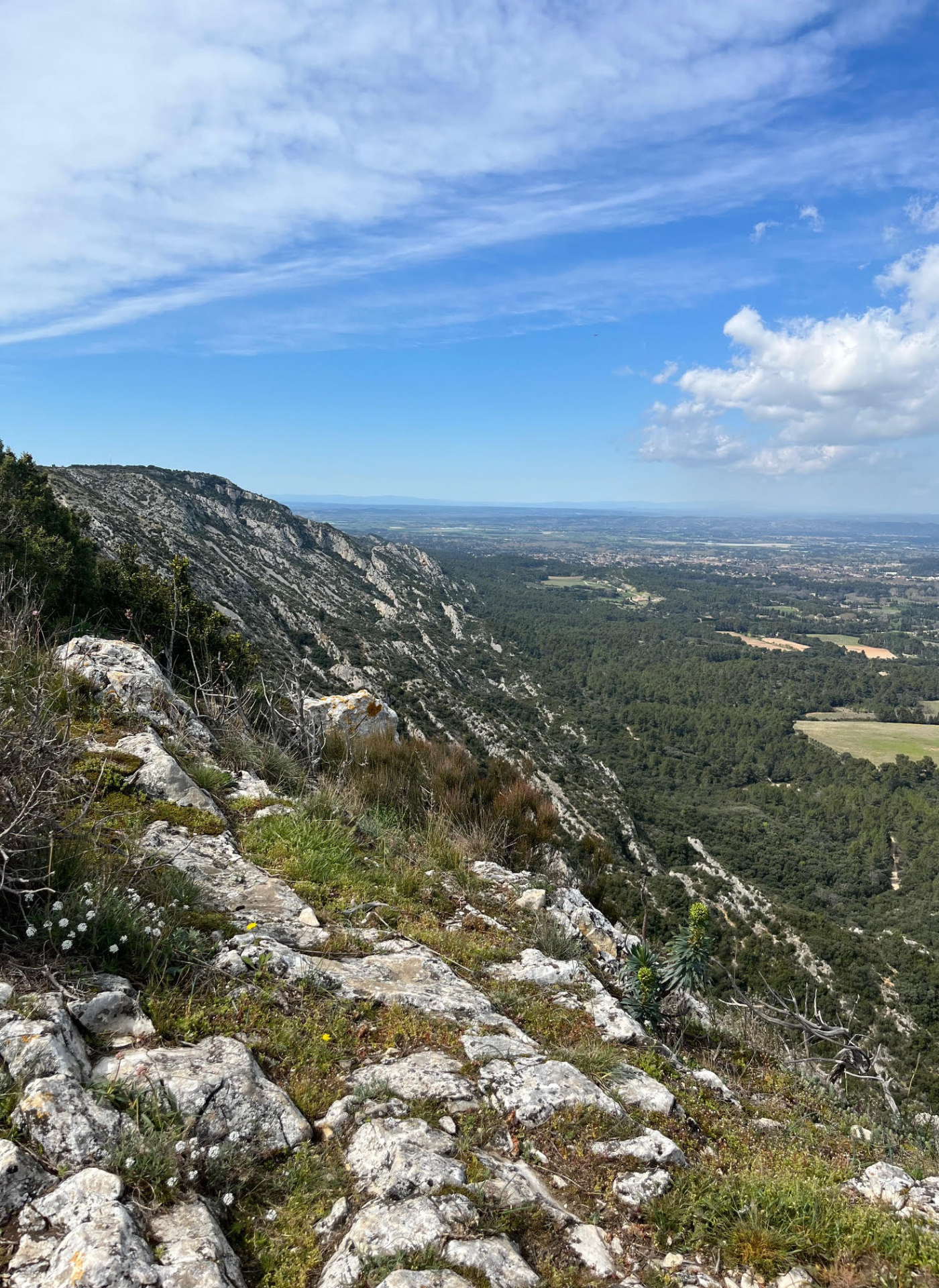 Les crêtes de Saint-Rémy-de-Provence - photo 3
