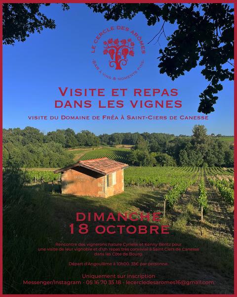 Le cercle des arômes - Visite et repas dans les vignes