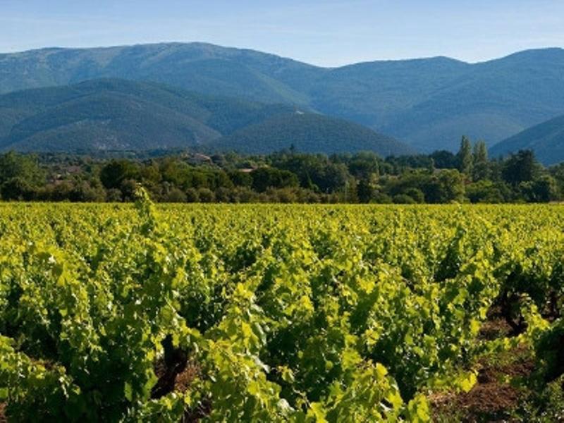 Tylène Transport Tourisme_Aix-en-Provence