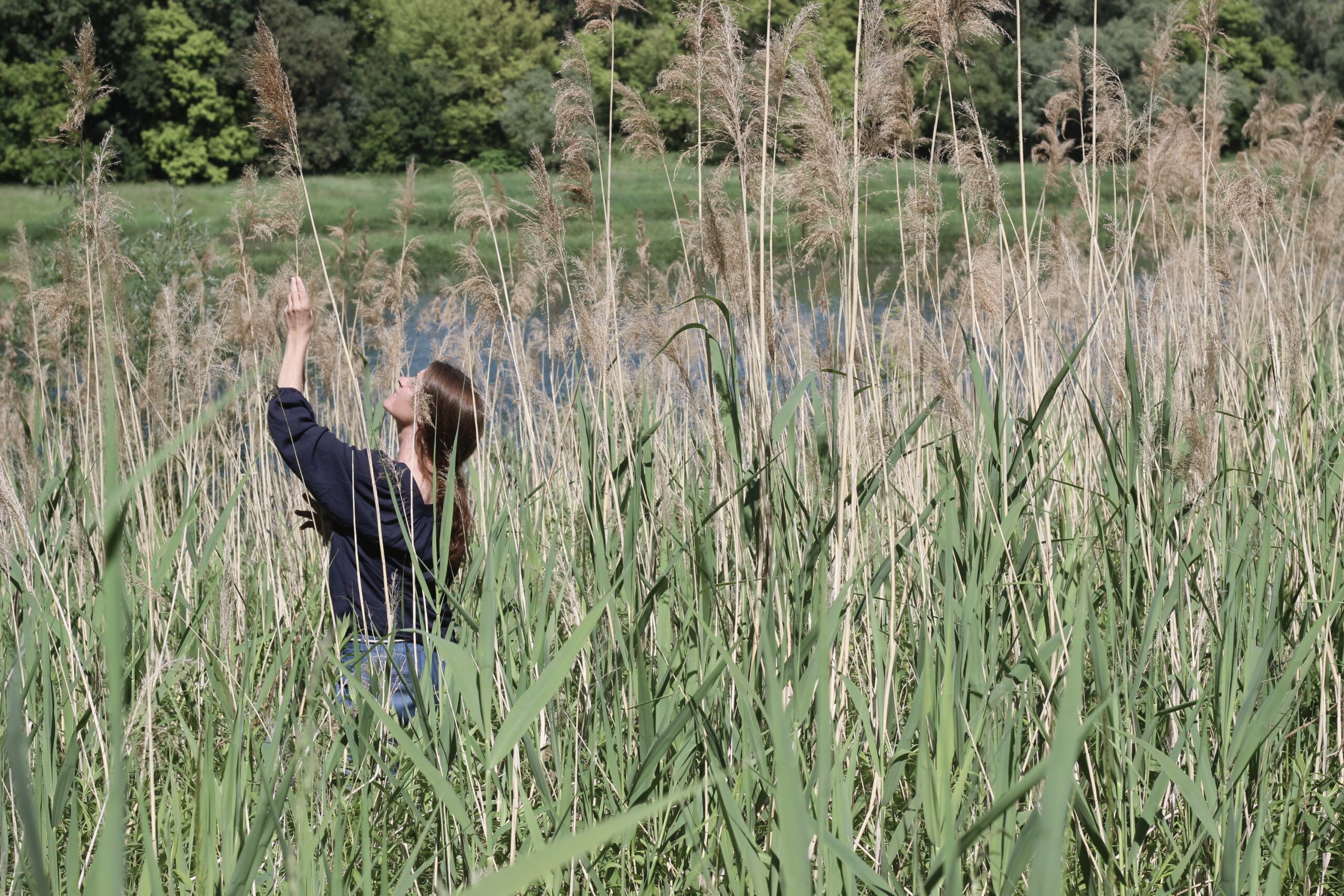 L&rsquo;Arbre-fleuve – Spectacle