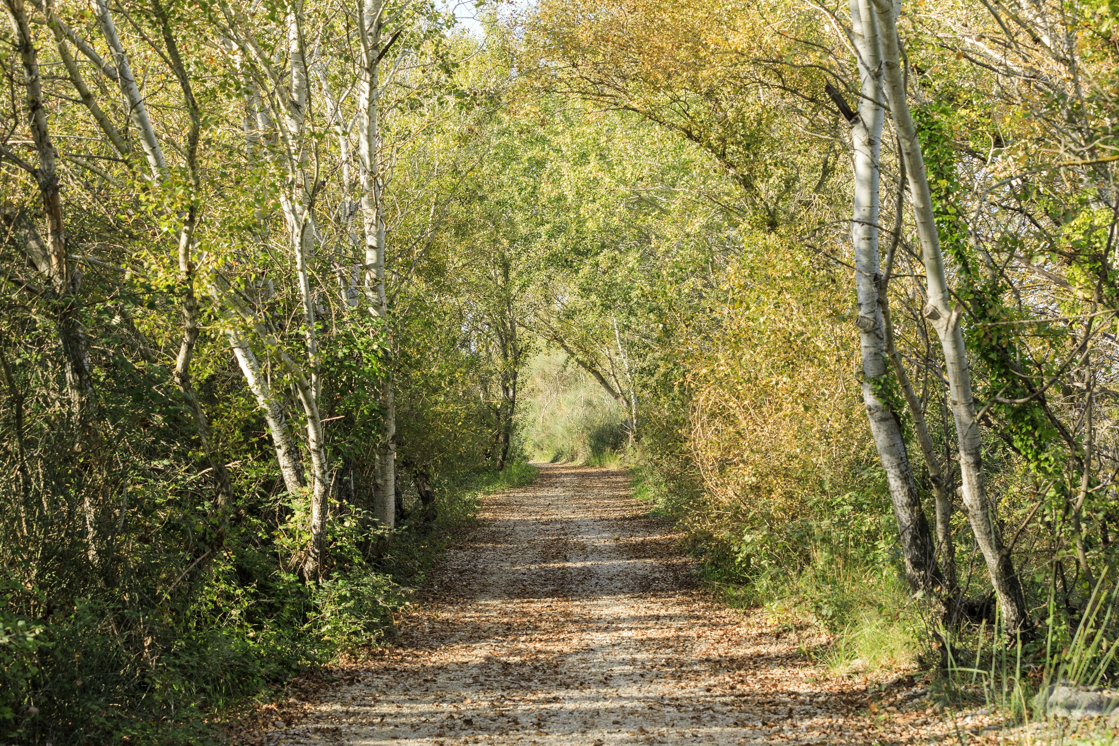 Véloroute Vers la Durance à vélo : Tronçon Mallemort - Sénas, Mallemort - photo 5