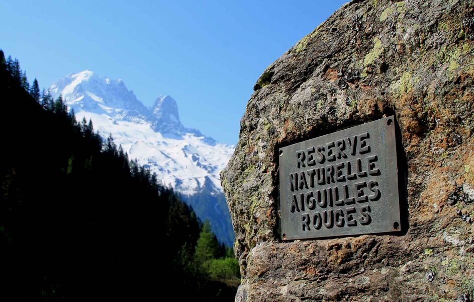 Blocs au col des Montets
