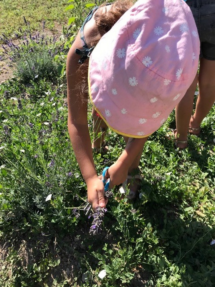 La petite ferme pédagogique de Saint-Rémy - photo 2