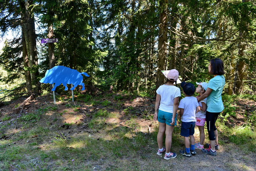 Parcours Cache-Cache des Animaux
