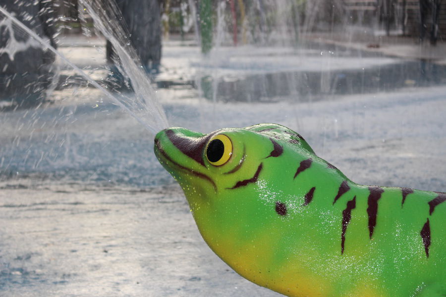 Watergames for chidren