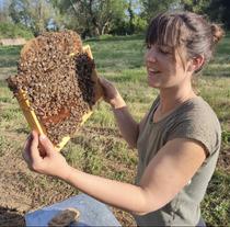 Harmonie dans le rucher