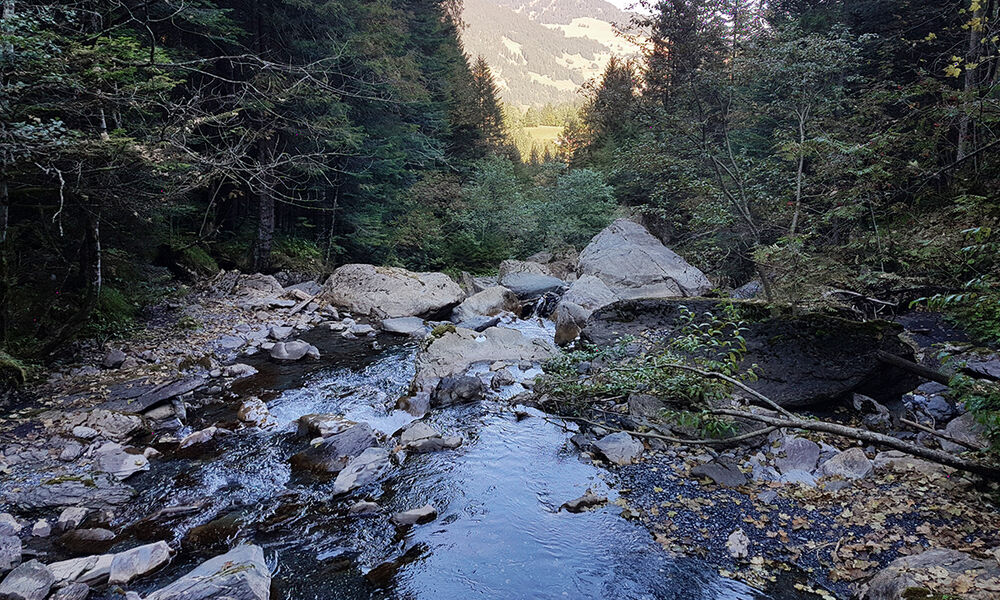 Vue depuis le pont traversant La Sauflaz