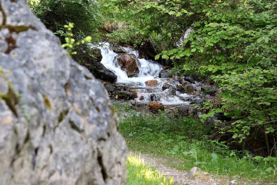 Randonnée du Plan du Cerf