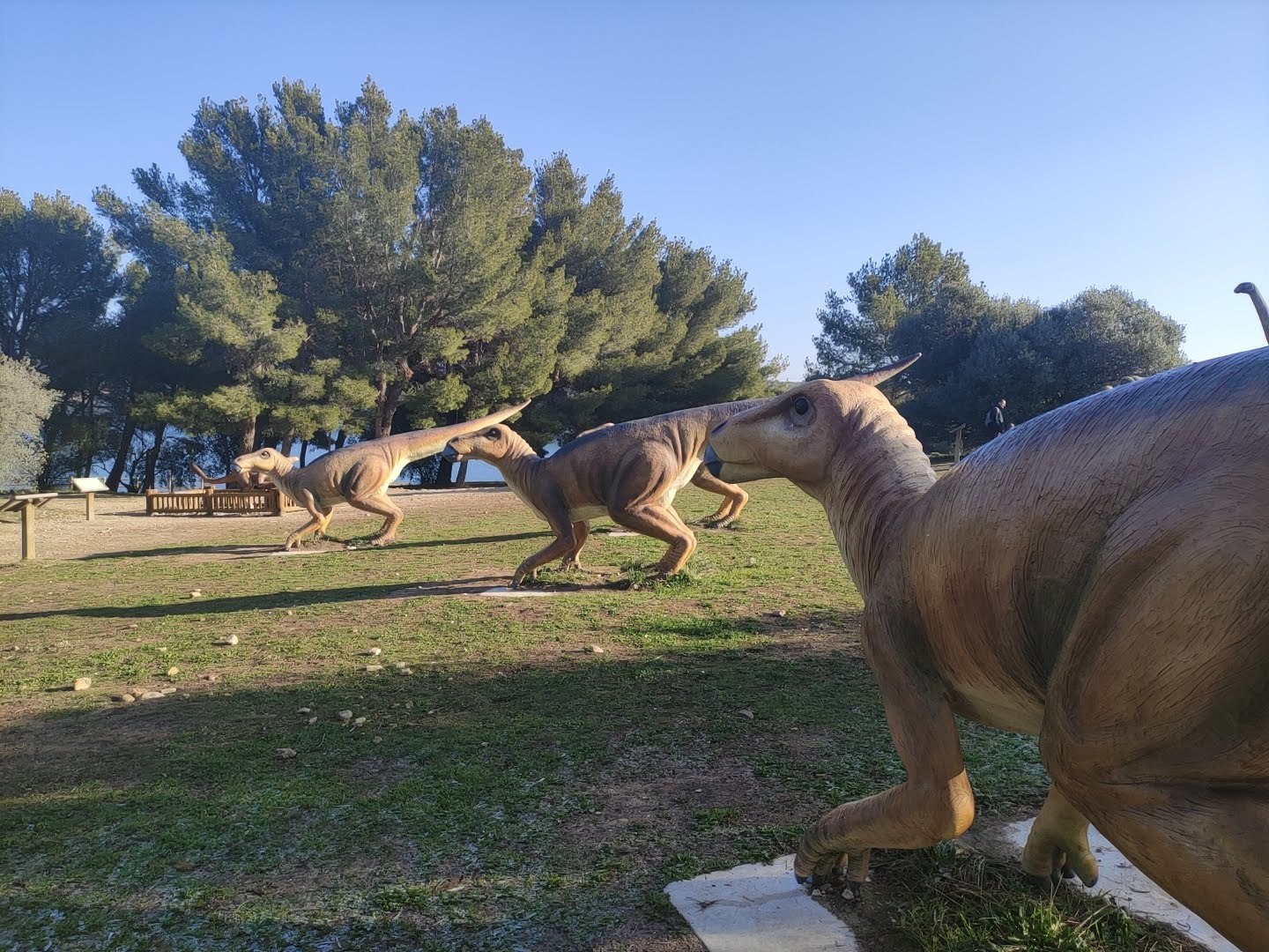 Rencontre avec un paléontologue