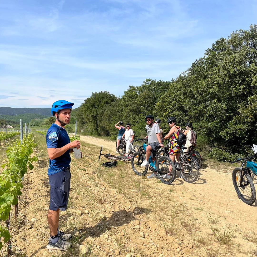 dbf980bea5d16a93bcee