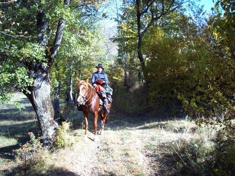 La Matheysine à cheval