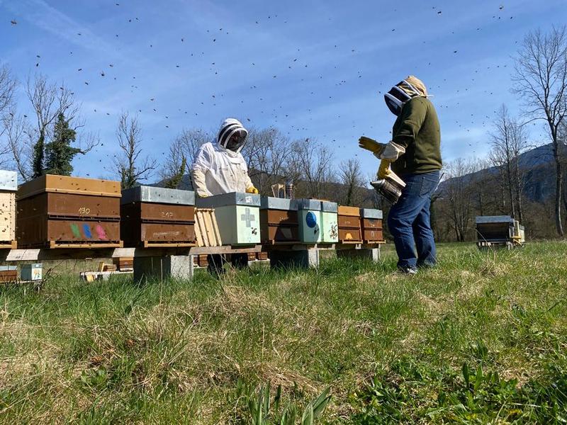 Découverte du rucher_Les Échelles