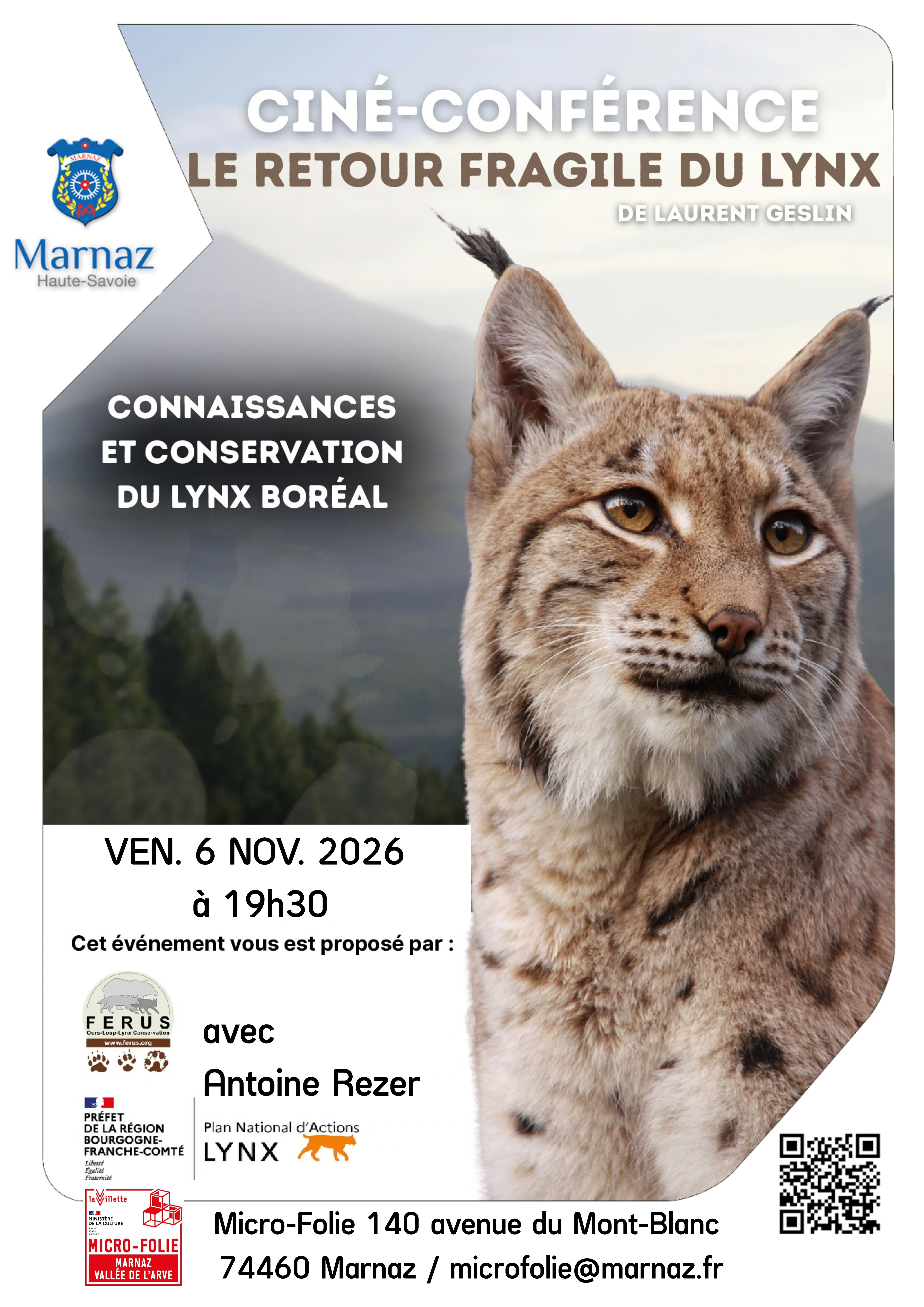 Le fragile retour du lynx