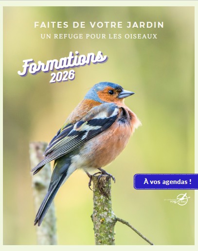 Formation oiseaux des jardins – Parc ornithologique du Pont de Gau