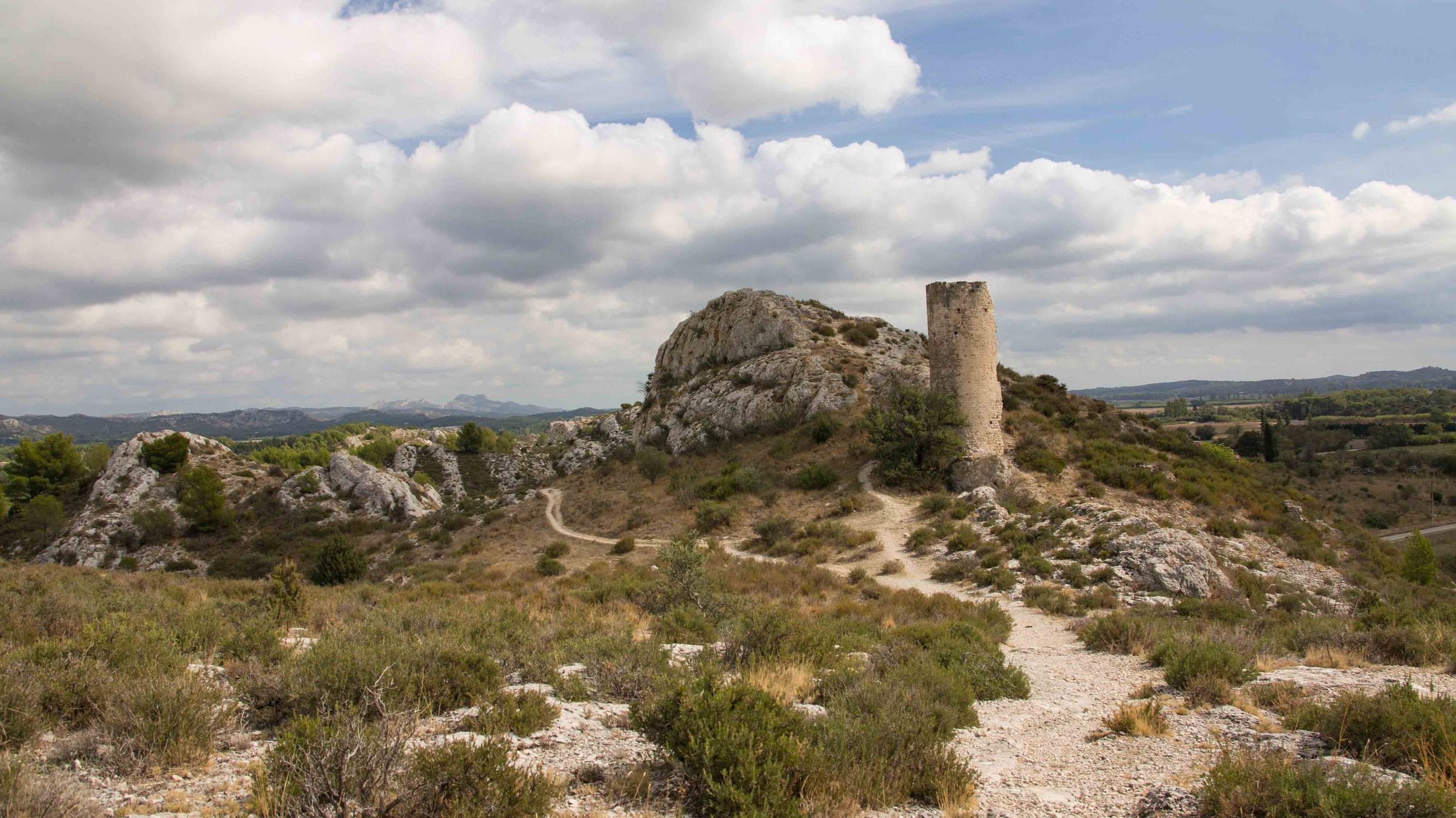 LE PARADOU - Les Tours de Castillon — photo 2