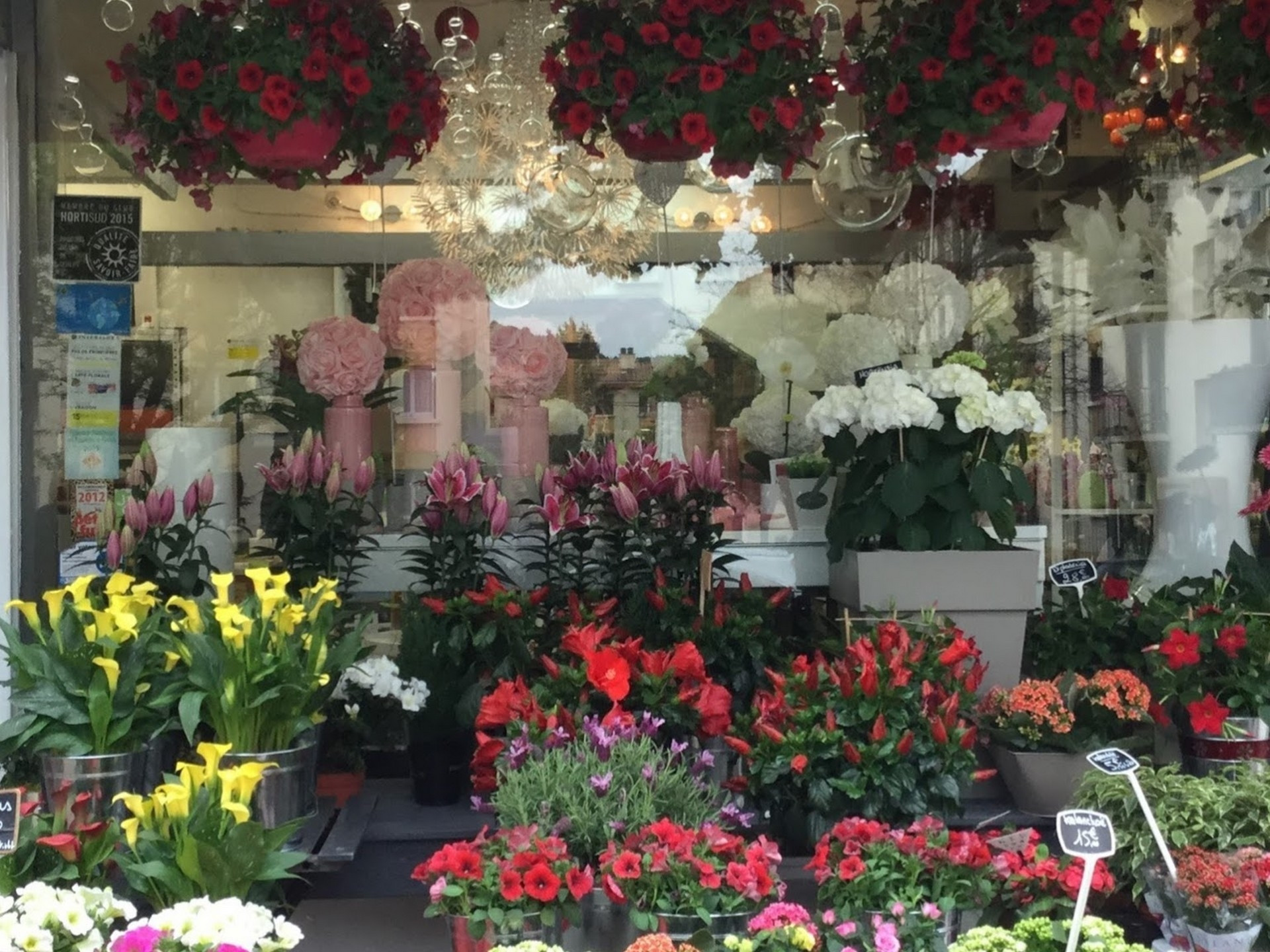 Aux Fleurs de Marie - photo 3