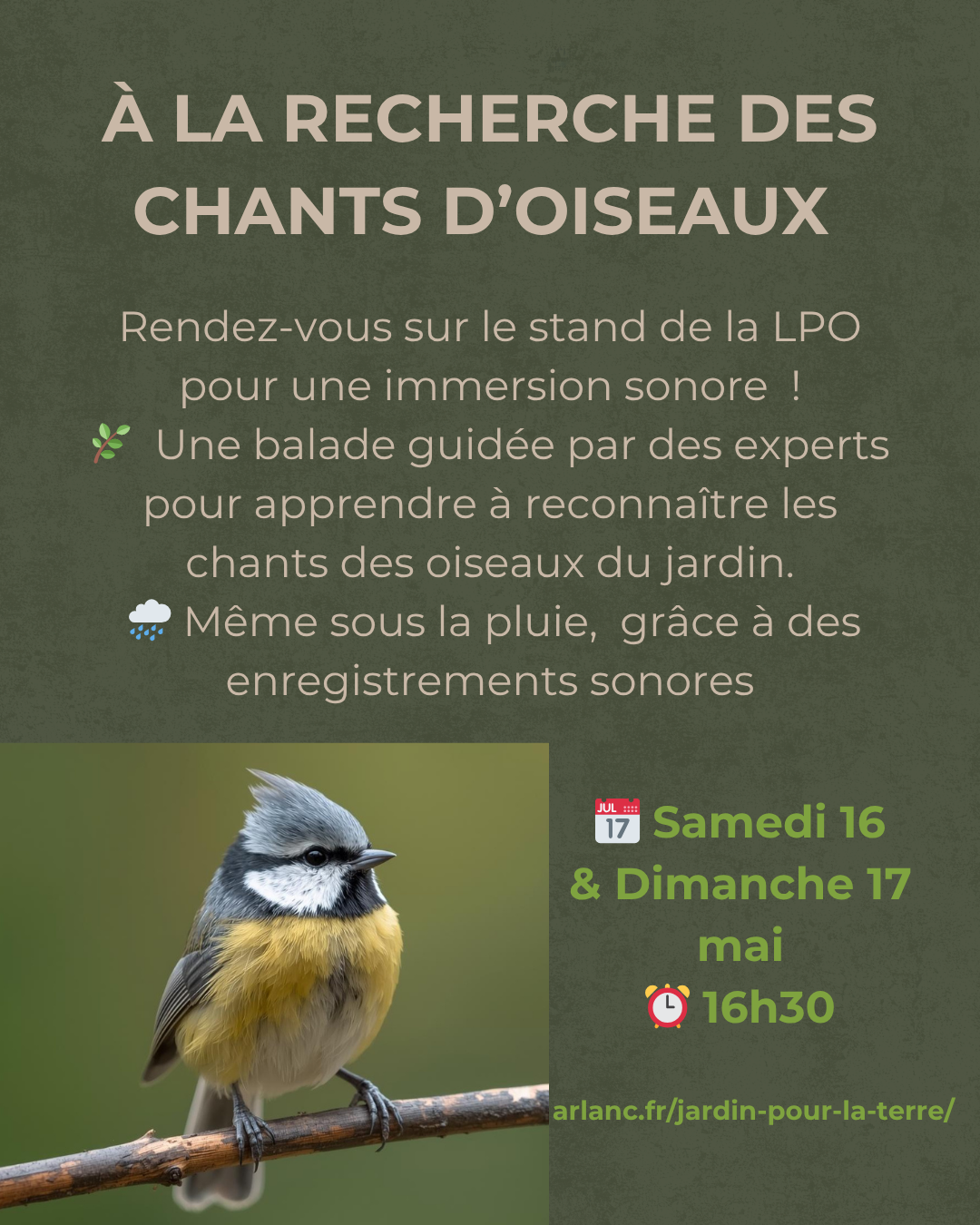 A la recherche des chants d’oiseaux // Arlanc