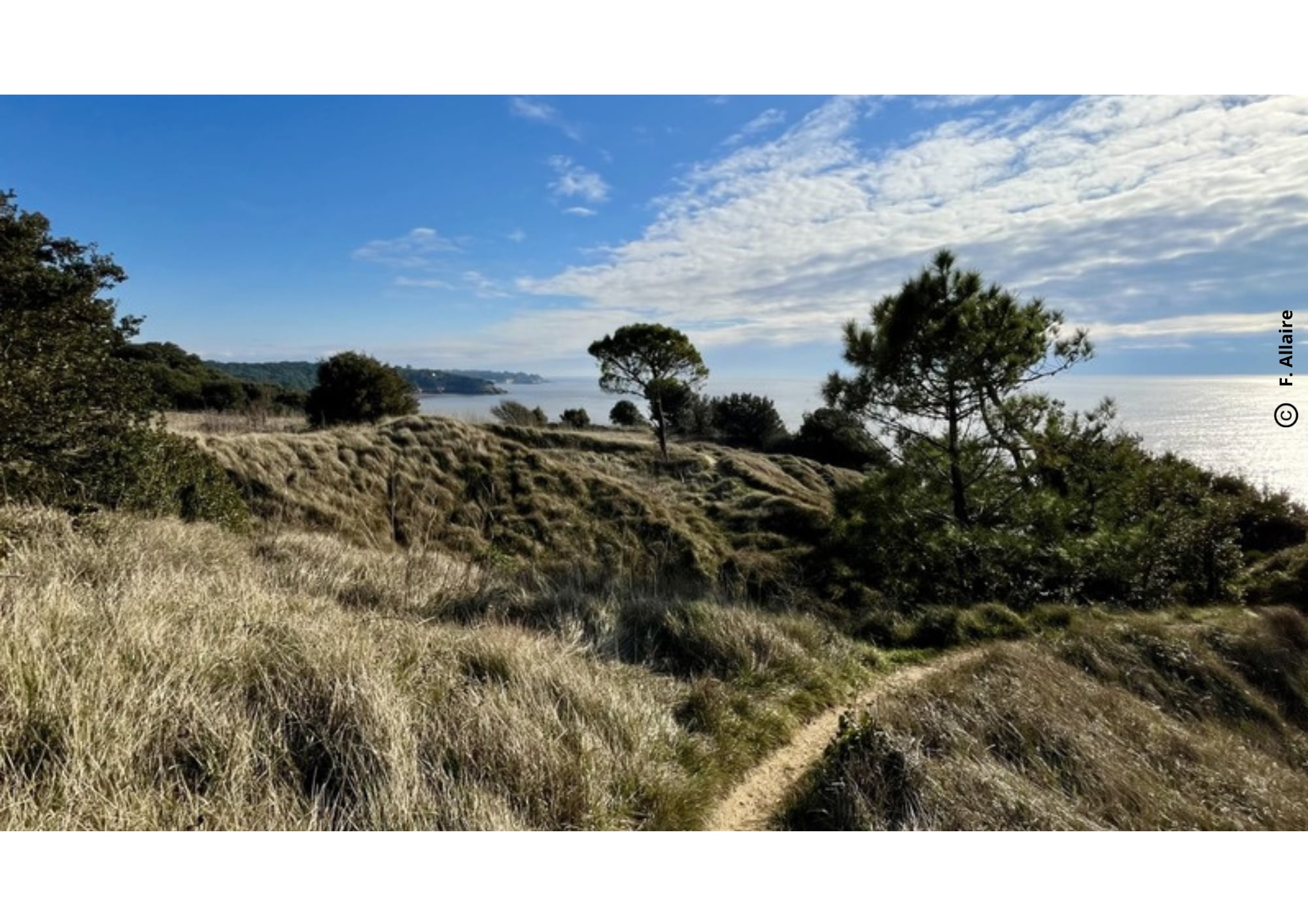 "Suzac, soyez à la pointe" Sortie nature dans le cadre de la Fête de la Nature 2026