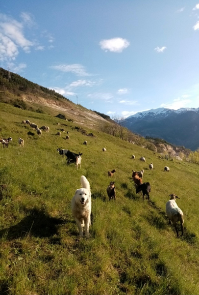 Bergerie de l'étoile