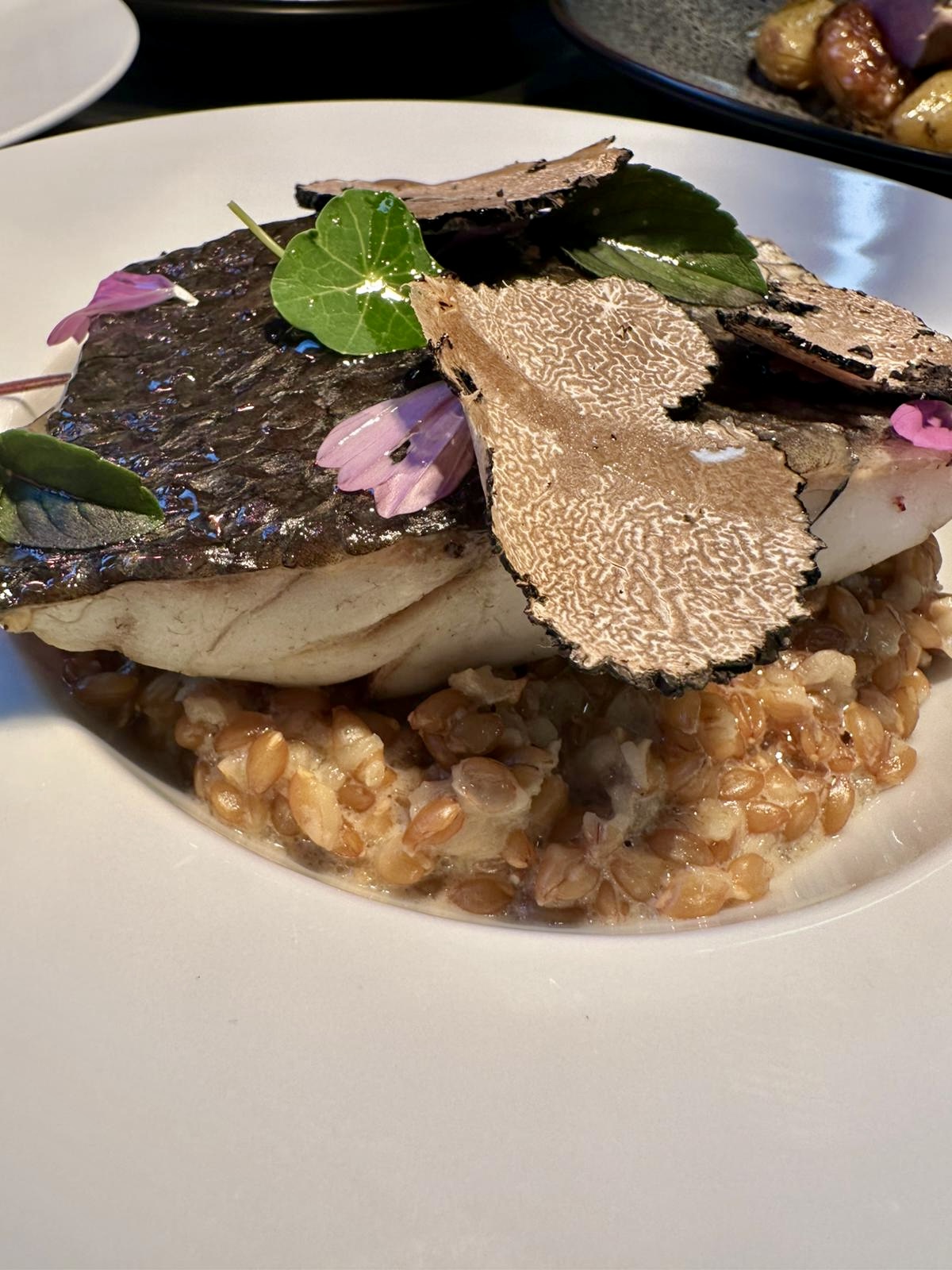 ChezMarti-PaveCabillaudTruffe